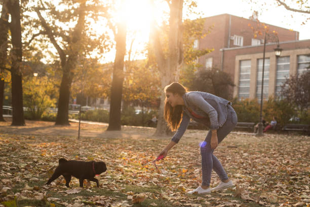 istock Young woman having fun with her pet 1154325866