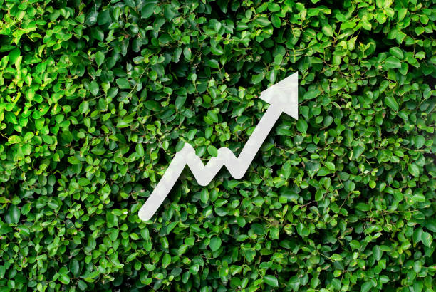 istock Business concept Represents growth - natural background 1154327156