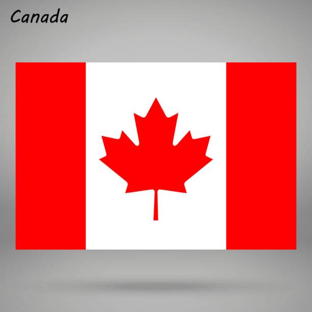 prosta flaga odizolowana . ilustracja wektorowa - flag canadian flag patriotism national flag stock illustrations