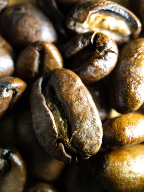 Coffee beans macro photo