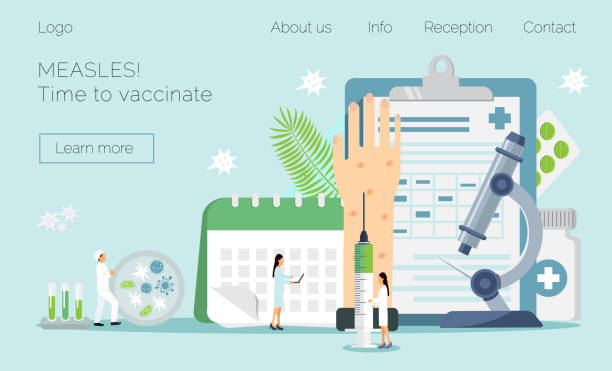 Measles, rubeola vaccination Measles, rubeola vaccination. Time to vaccinate. Vector illustration syringe with vaccine, bottle, vaccination calendar and doctors. Modern vector illustration concepts for website, apps. measles illustrations stock illustrations