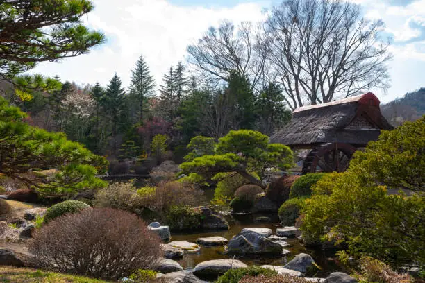 Photo of Oshino Hakkai village