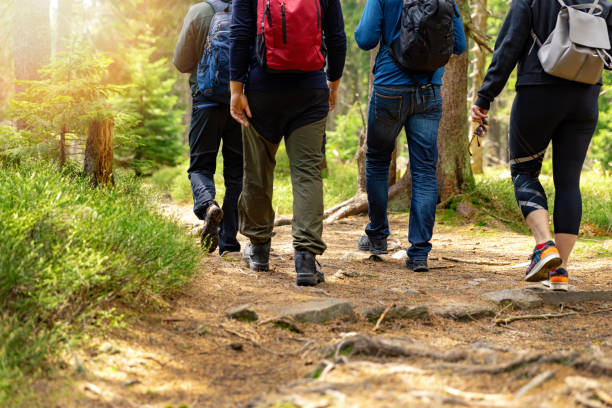 nature adventures - group of friends walking in forest with backpacks nature adventures - group of friends walking in forest with backpacks dirt road stock pictures, royalty-free photos & images