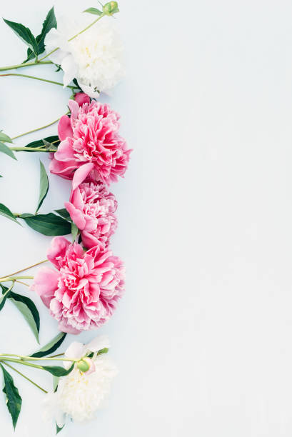 istock Frame of flowers peonies 1154340549
