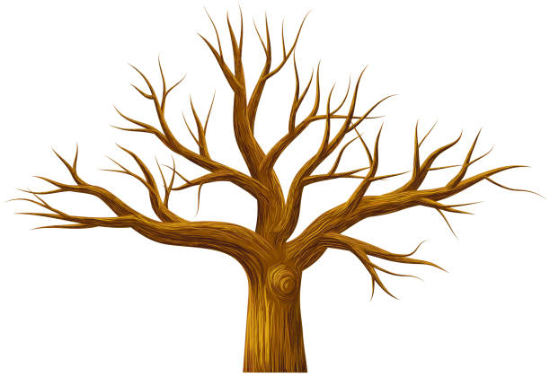 ilustraciones, imágenes clip art, dibujos animados e iconos de stock de árbol sin hojas con vector de textura - without leaves