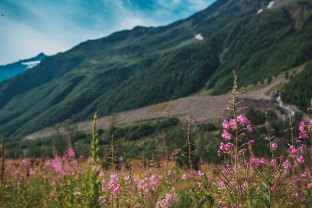 istock Elbrus, mountains in summer. Greater Caucasus Mountains from Mount Elbrus 1154350048