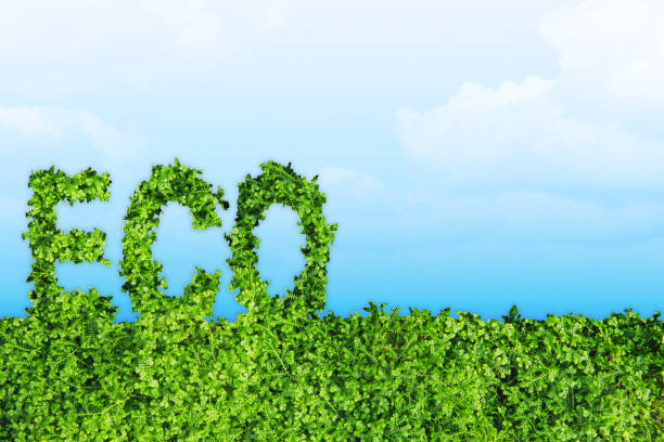 istock Green Eco Earth Day concept art with space for background 1154350291