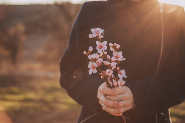 istock Beautiful flowering peach. Background with flowers on a spring day, sunset 1154350821