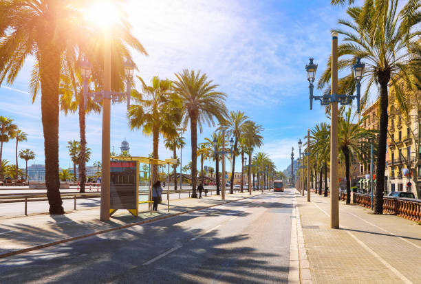 istock Barcelona, Spain. Road for public transport 1154353126