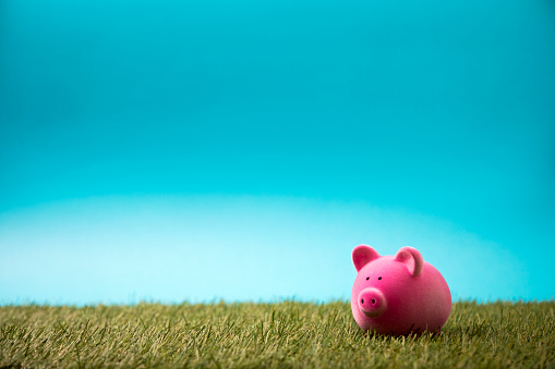 Piggy bank on green grass and blue sky