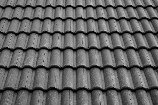 istock Black and white roof texture 1154359094