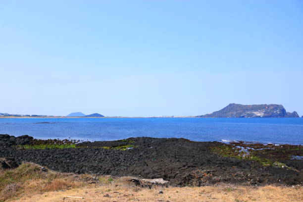 istock Providence Koji, Coast, flower, lava, 1154359993