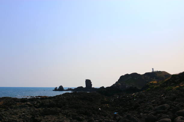 istock Providence Koji, Coast, flower, lava, 1154360194