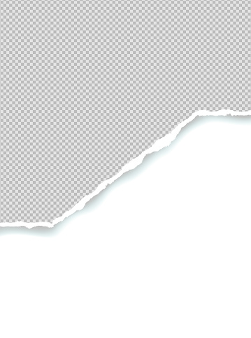 Paper Page Writing Ripped The Squared Ripped Gray Paper For Writing Messages Stock Illustration ...