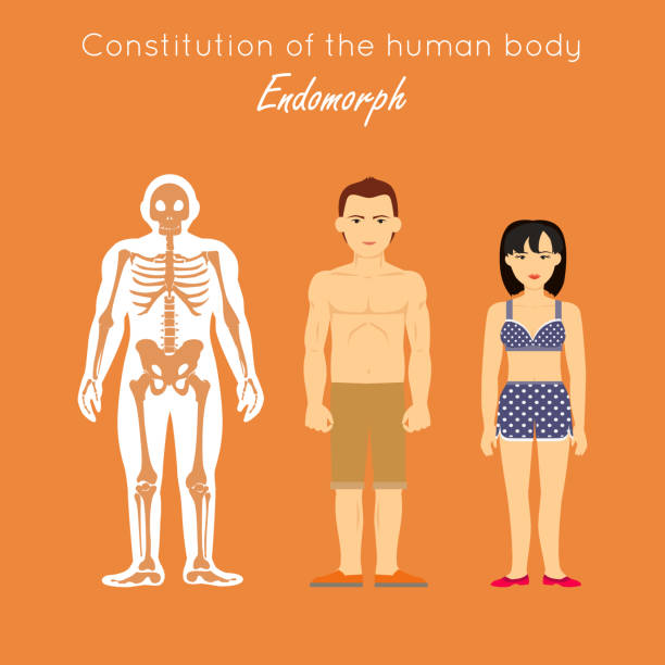 Endomorph Definition 10+ Somatotype Stock Photos, Pictures & Royalty-Free Images - iStock