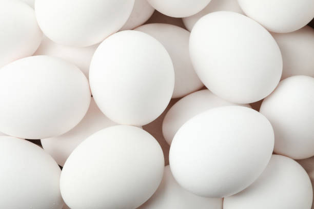 istock Many white chicken eggs as background, closeup 1154368446