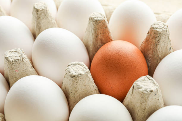 istock Chicken eggs in carton box as background, closeup 1154369647