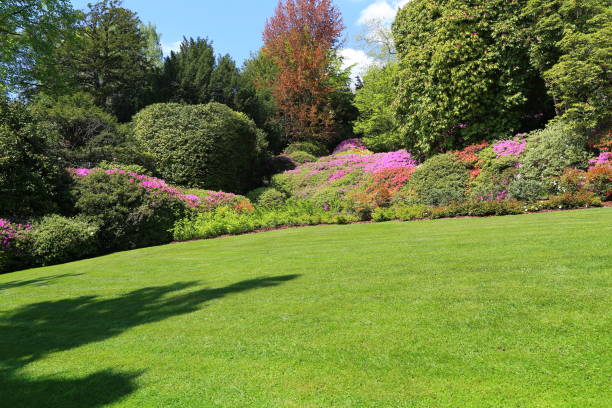 istock Magnificent park with flower beds 1154369855