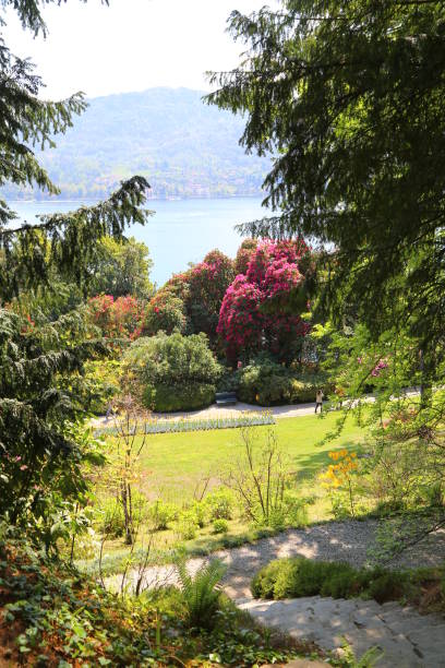istock Magnificent park with flower beds 1154369859