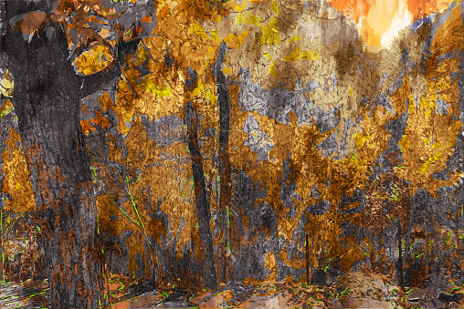 Abstract digital painting of trees in autumn, illustration of trees with yellow leaves for background