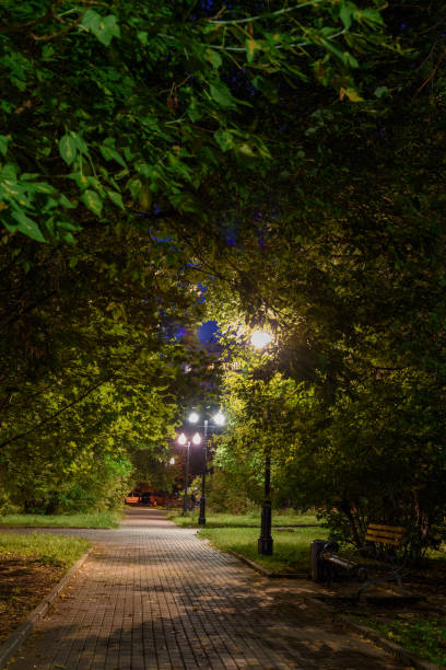 istock Evening view in the park - a path in the park lit by lanterns 1154372401