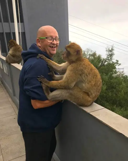 Photo of Man interacting with a Barbary macaque in Gibraltar