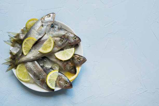 istock Black sea bluefish with ice cube and lemon in plate on blue concrete table. Fish pattern with space for text. View from above. 1154377480
