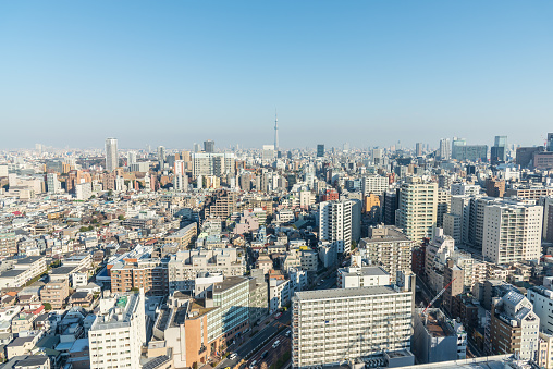 Aerial view of Tokyo city sky line with Tokyo skytree.