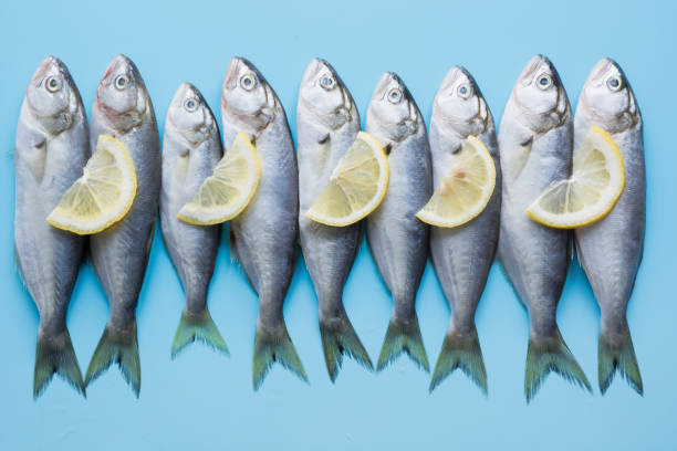 istock Black sea bluefish with lemon on pastel blue. Fish pattern with space for text. View from above. 1154379175