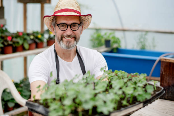 istock Growing flowers in greenhouse 1154380671