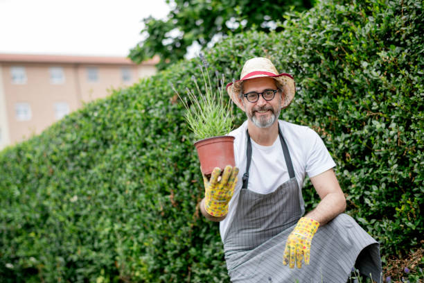 istock Proud on my small business 1154382849