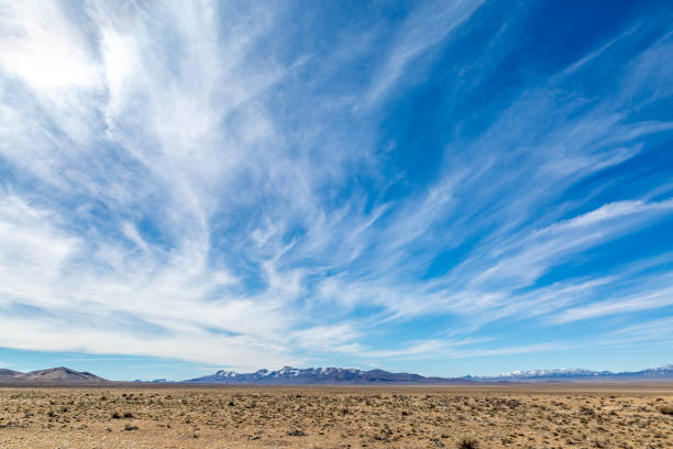 eine wüstenlandschaft in nevada - wispy stock-fotos und bilder