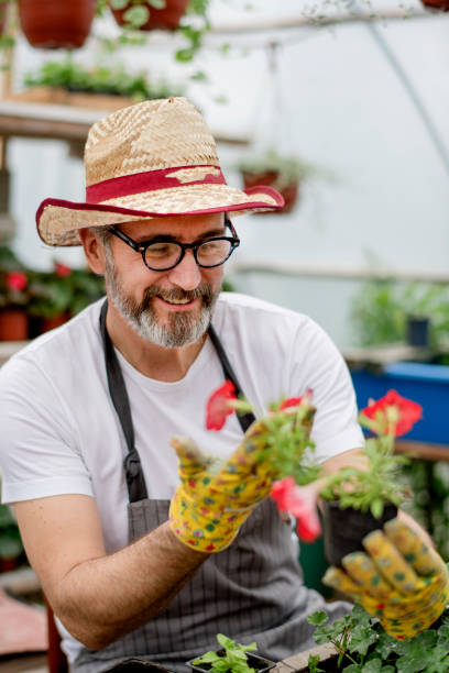 istock Taking care of the flowers 1154383095