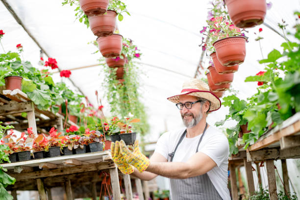 istock Greenhouse florist 1154383869