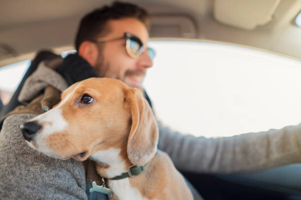 istock Young man enjoying ride with his dog 1154384441