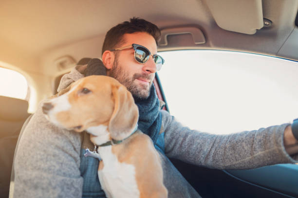 istock Man and dog in car 1154384442