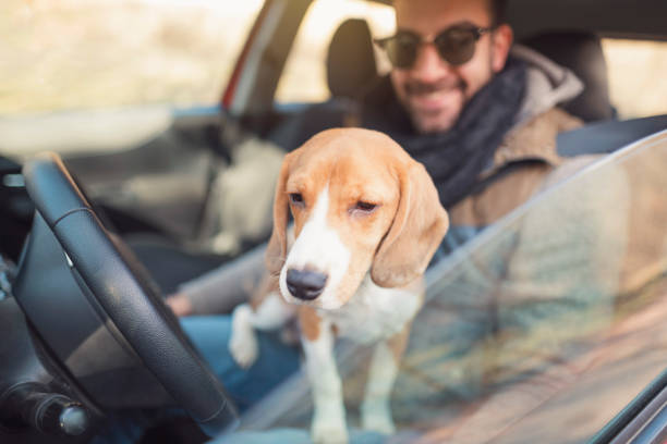 istock Dog and his owner in the car 1154384527