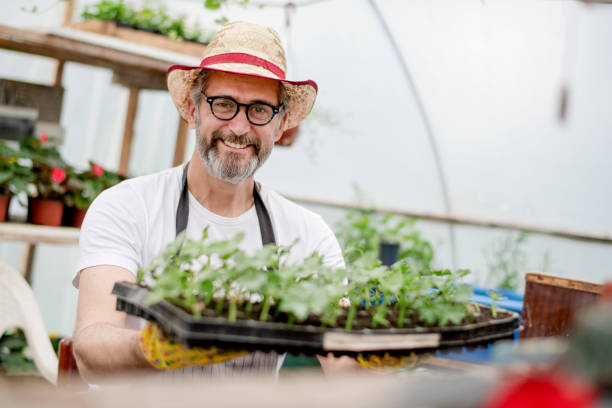 istock Growing flowers in greenhouse 1154384611