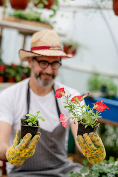 istock Taking care of the flowers 1154385743