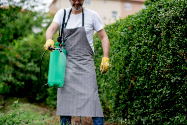 istock Senior man watering plants in back yard 1154386306