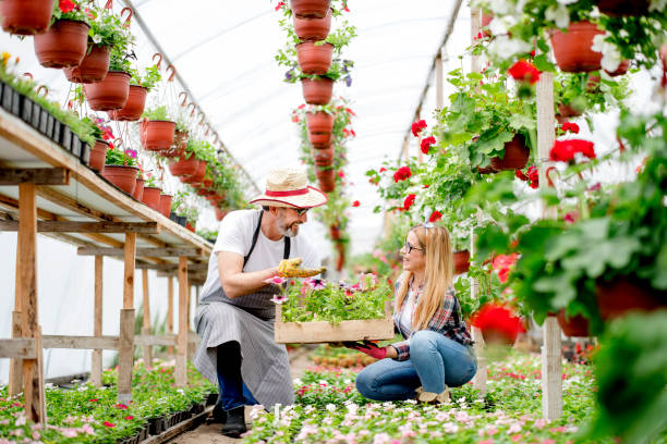 istock Buying potted flowers at botanical garden. 1154386871