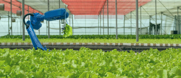 istock iot smart industry robot 4.0 agriculture concept,industrial agronomist,farmer using software Artificial intelligence technology in tablet to monitoring condition and control automatic robotics in farm 1154387299