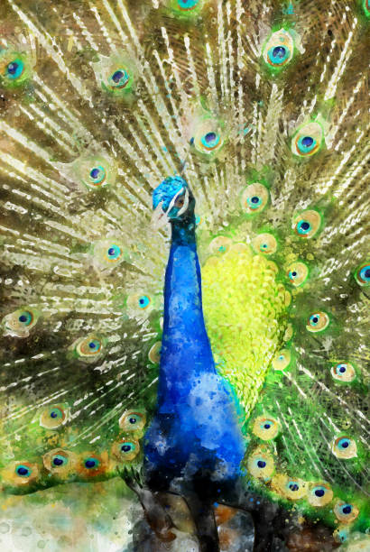 istock peacock Digital Art Watercolor Painting Abstract 1154388659