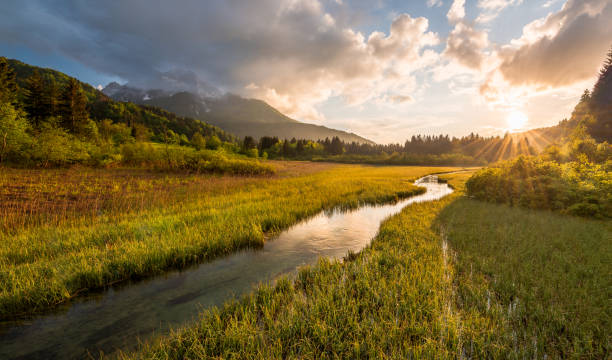 istock Zelenci springs at sunset 1154393646
