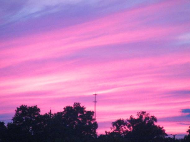 Purple and pink sunset sky over silhouetted trees. stock photo