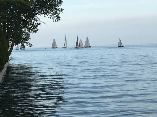 Sailboats on the Lake stock photo
