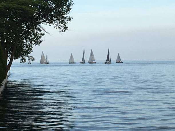 Lake with sailboats stock photo