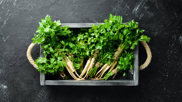 istock Root parsley and parsley on a black background. Top view. Free space for your text. 1154397048