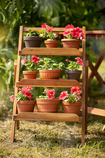 istock garden flowers in pots 1154405334