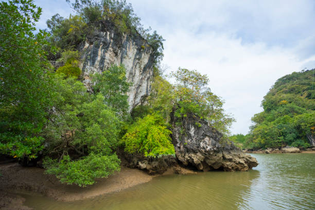 istock Khao Khanap Nam Cliffs in Krabi, Thailand. 1154405848